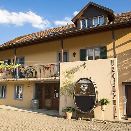 Cave Du Treyblanc Bed & Breakfast Luins Luaran gambar