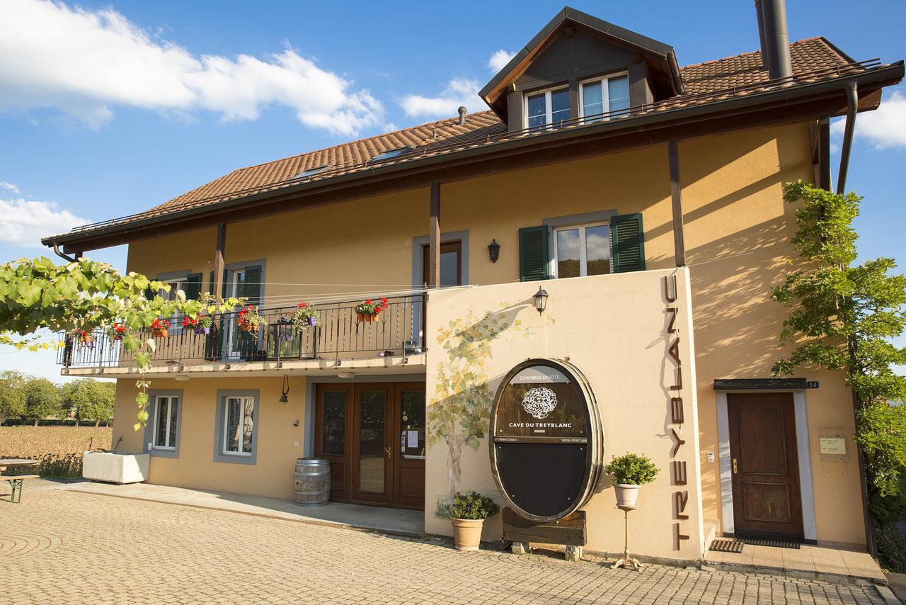 Cave Du Treyblanc Bed & Breakfast Luins Luaran gambar