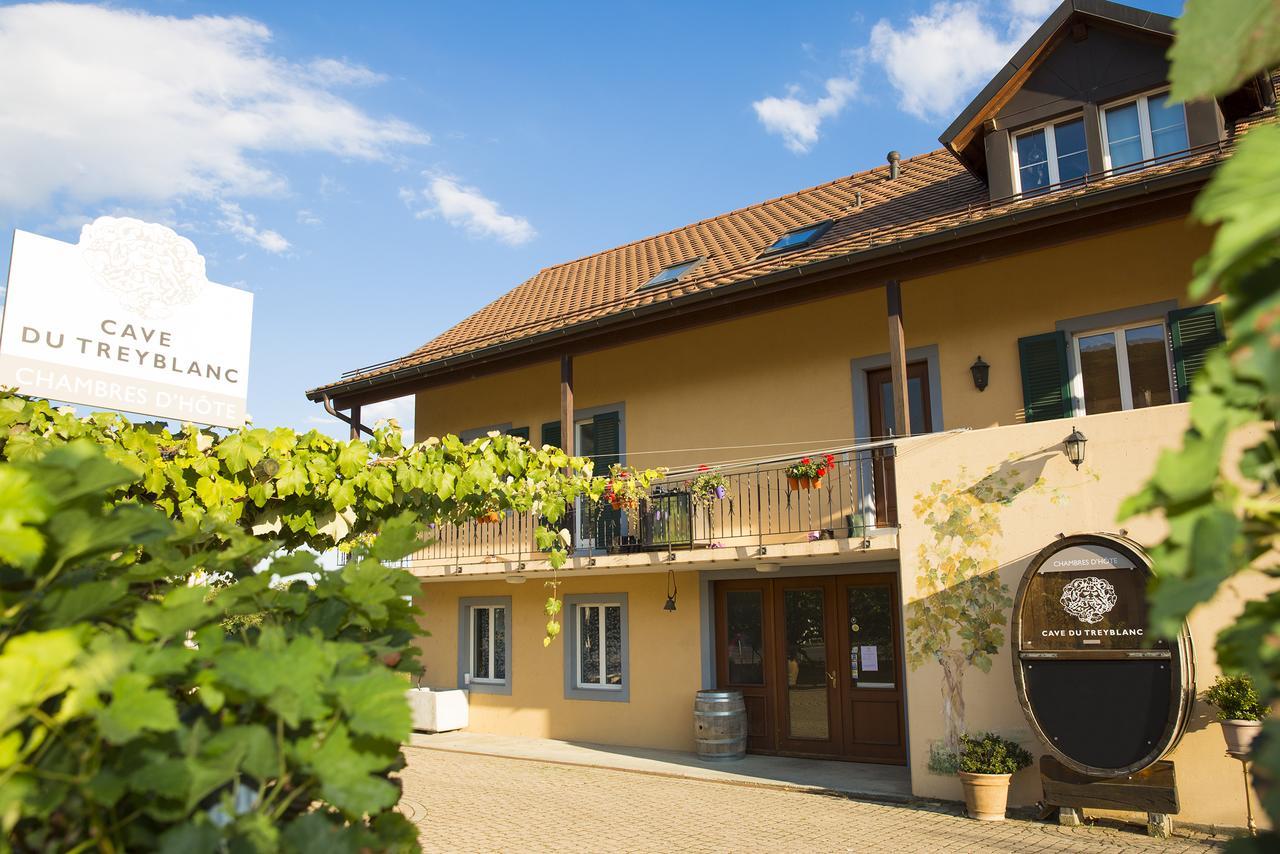 Cave Du Treyblanc Bed & Breakfast Luins Luaran gambar