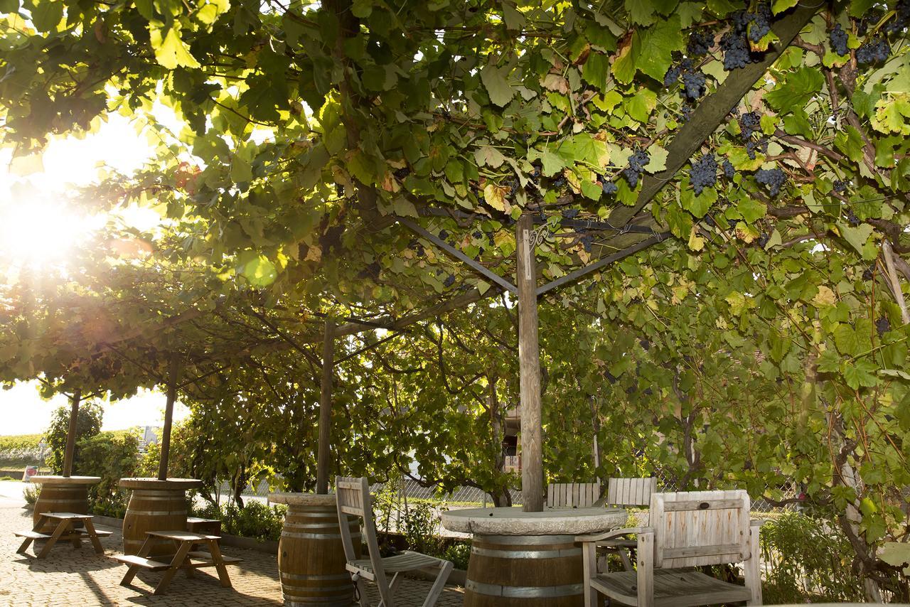 Cave Du Treyblanc Bed & Breakfast Luins Luaran gambar
