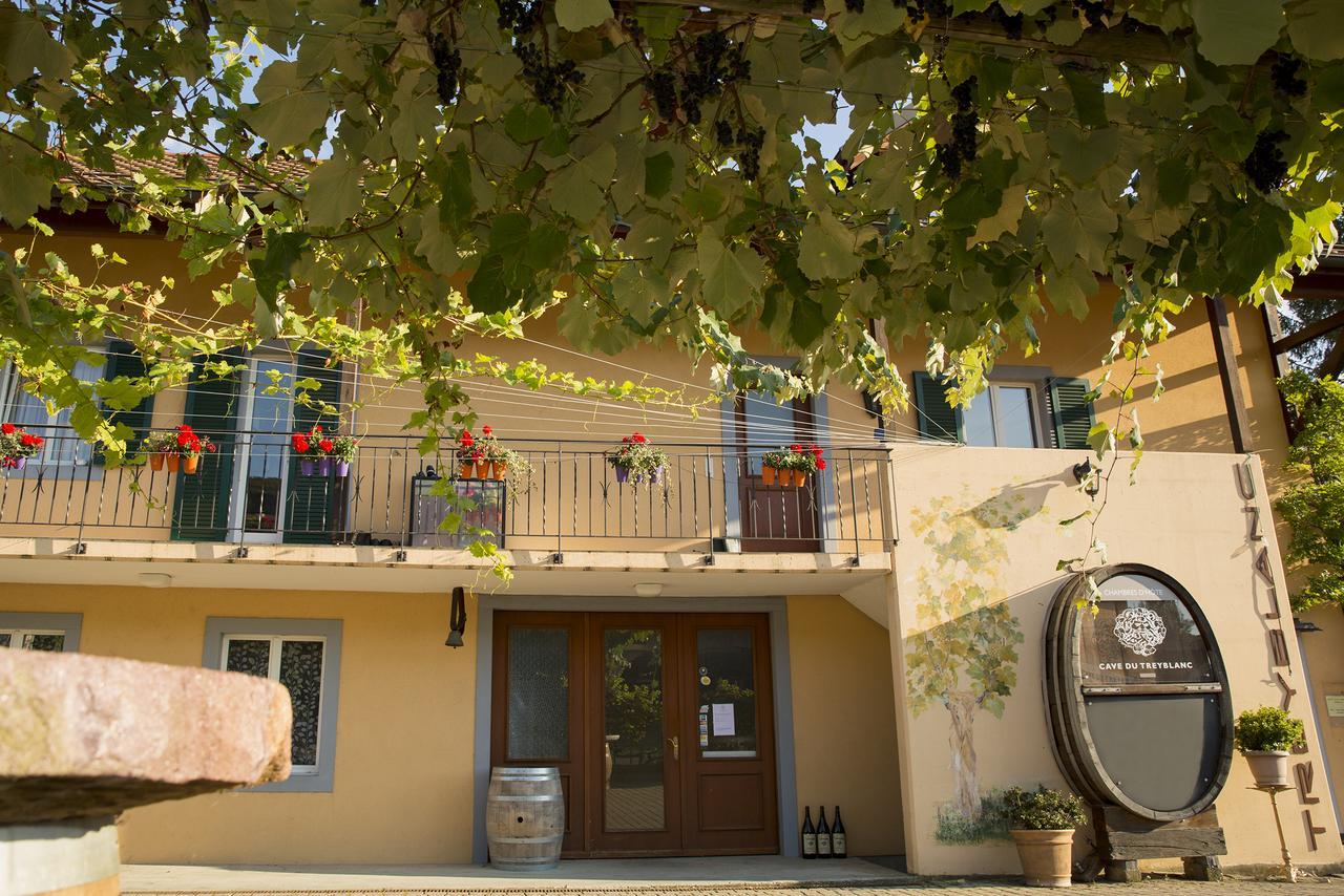 Cave Du Treyblanc Bed & Breakfast Luins Luaran gambar