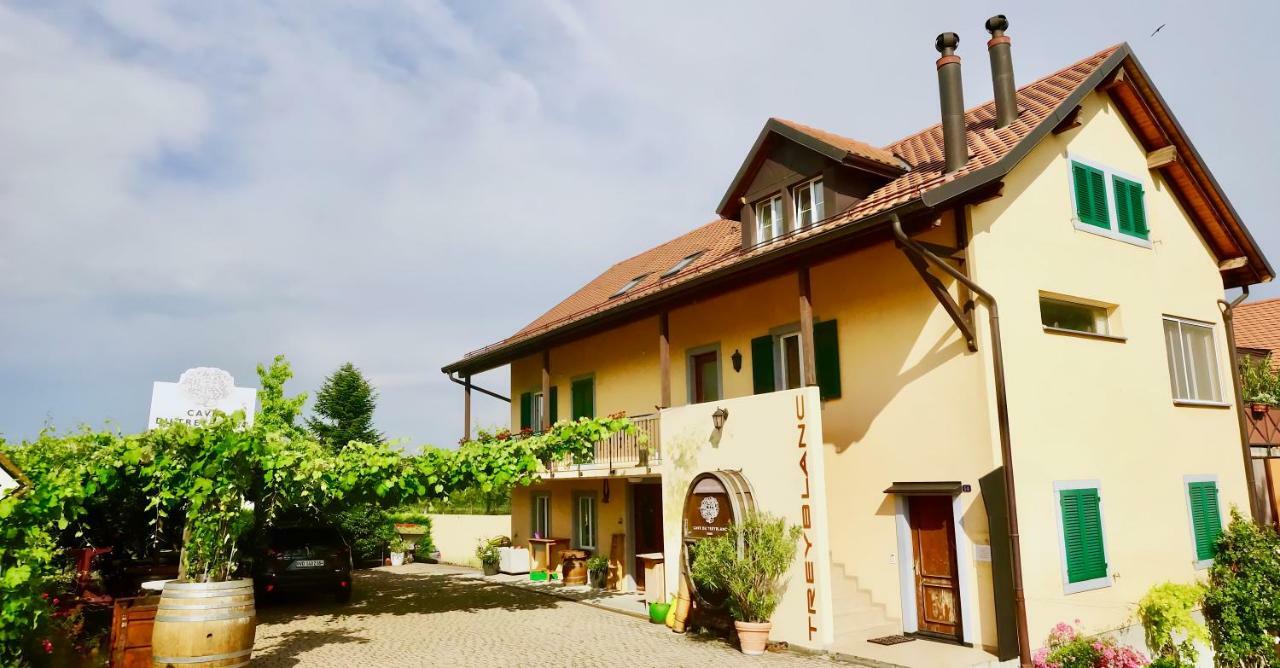 Cave Du Treyblanc Bed & Breakfast Luins Luaran gambar