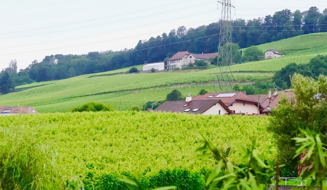 Cave Du Treyblanc Bed & Breakfast Luins Luaran gambar