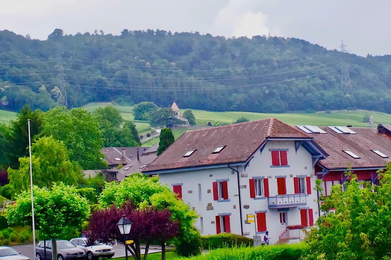 Cave Du Treyblanc Bed & Breakfast Luins Luaran gambar